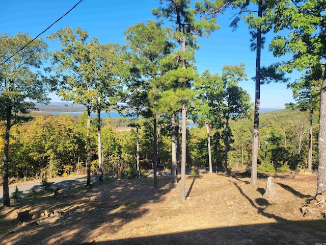 290 Christopher Dr, Quitman, AR 72131 - view of yard