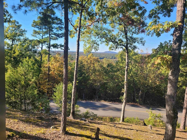 290 Christopher Dr, Quitman, AR 72131 - property view of mountains featuring a wooded view