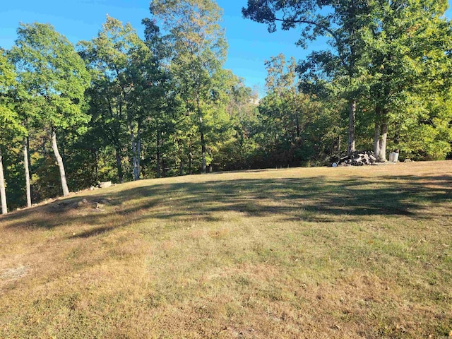 290 Christopher Dr, Quitman, AR 72131 - view of yard