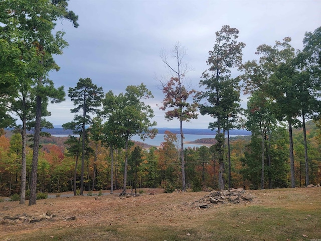 290 Christopher Dr, Quitman, AR 72131 - view of local wilderness with a forest view and a water view
