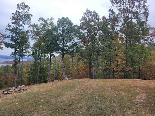 290 Christopher Dr, Quitman, AR 72131 - view of yard featuring a forest view