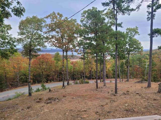 290 Christopher Dr, Quitman, AR 72131 - view of yard with a wooded view