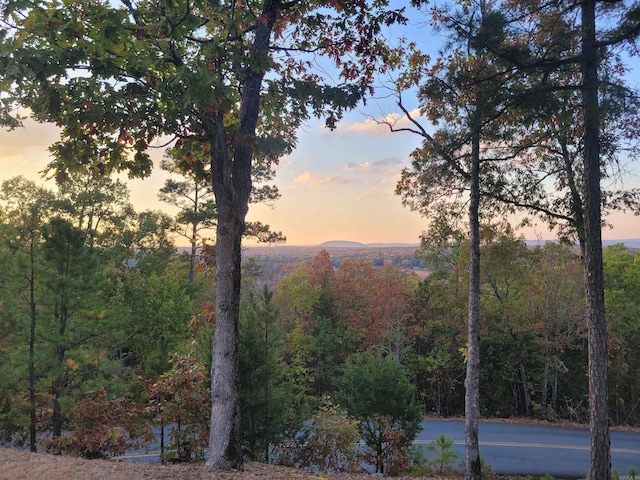 290 Christopher Dr, Quitman, AR 72131 - view of mountain feature featuring a wooded view