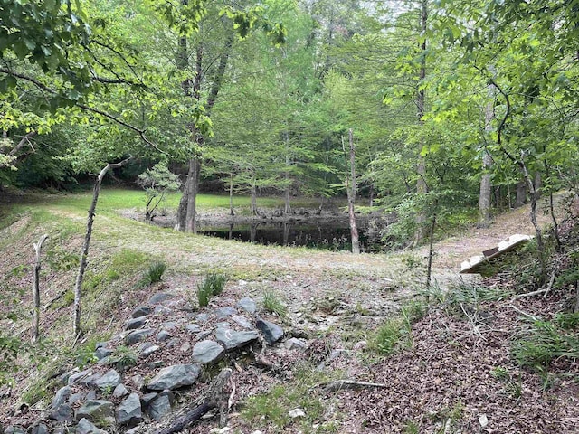 view of nature with a wooded view