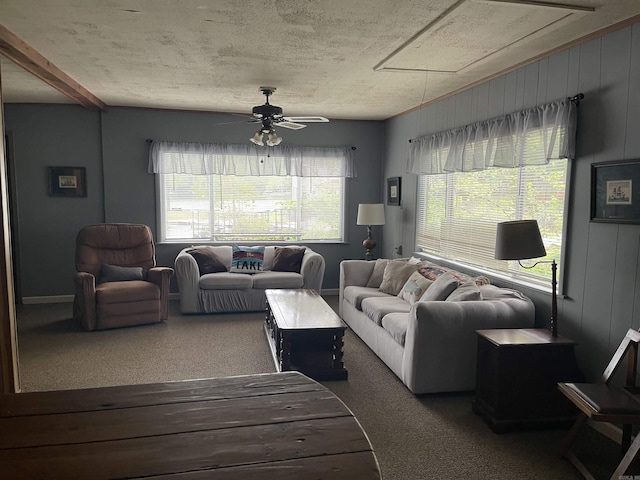 living area featuring carpet floors, a ceiling fan, and a textured ceiling