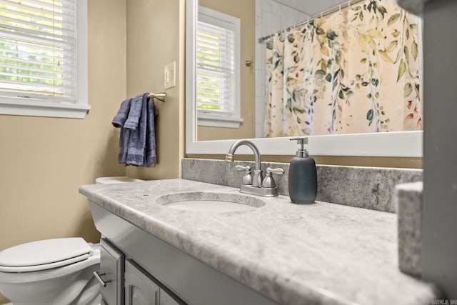 416 Ivory Dr, Little Rock, AR 72205 - full bath featuring vanity, plenty of natural light, toilet, and a shower with shower curtain