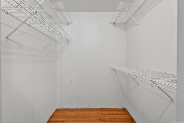 416 Ivory Dr, Little Rock, AR 72205 - spacious closet with light wood-type flooring