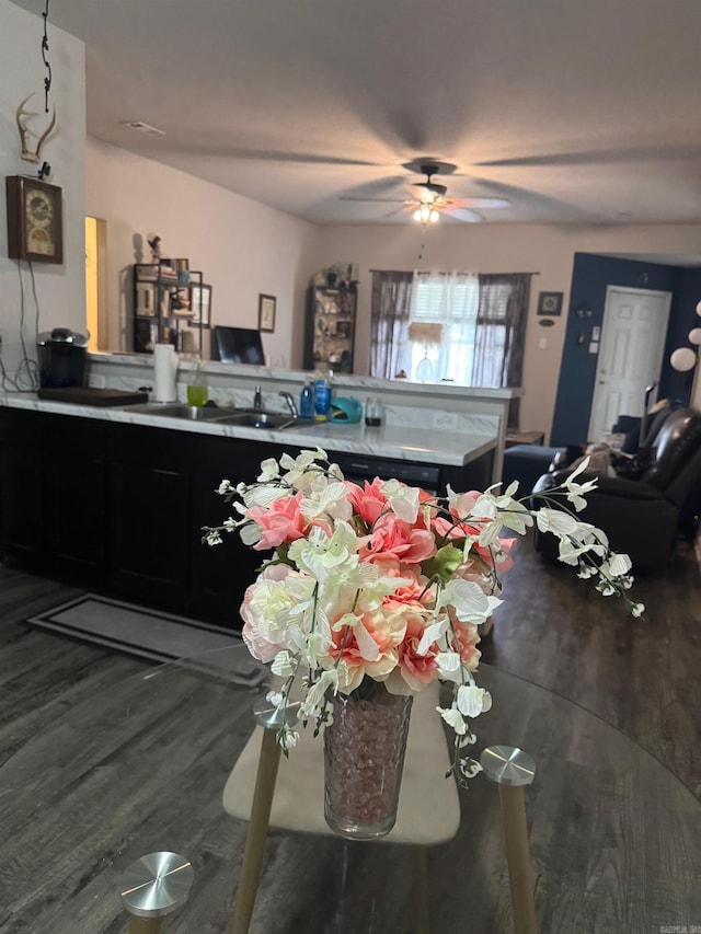 dining room with a ceiling fan and wood finished floors