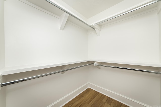 spacious closet with dark wood-type flooring