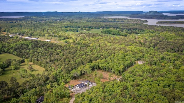 aerial view with a water view and a view of trees