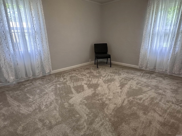 spare room with carpet flooring and baseboards