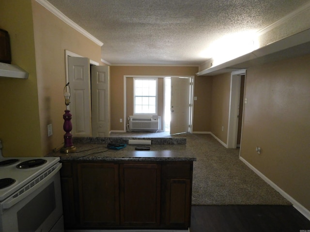 215 E 22nd St, Little Rock, AR 72206 - kitchen featuring crown molding, white range with electric stovetop, a peninsula, and a textured ceiling