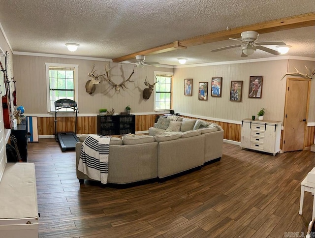 885 Mount Carmel Rd, Cabot, AR 72023 - living room with a ceiling fan, a textured ceiling, plenty of natural light, dark wood finished floors, and ornamental molding