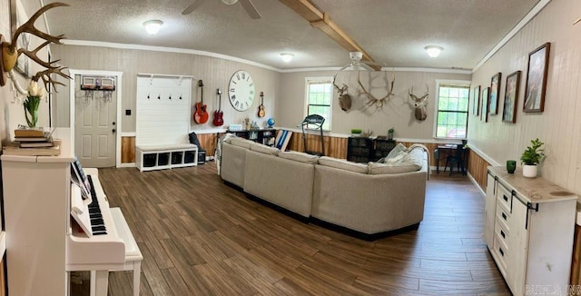 885 Mount Carmel Rd, Cabot, AR 72023 - living room with ceiling fan, crown molding, a textured ceiling, dark wood-type flooring, and wooden walls