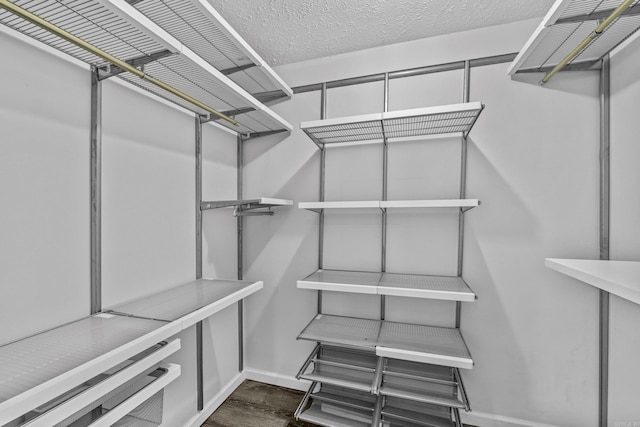 walk in closet with dark wood finished floors