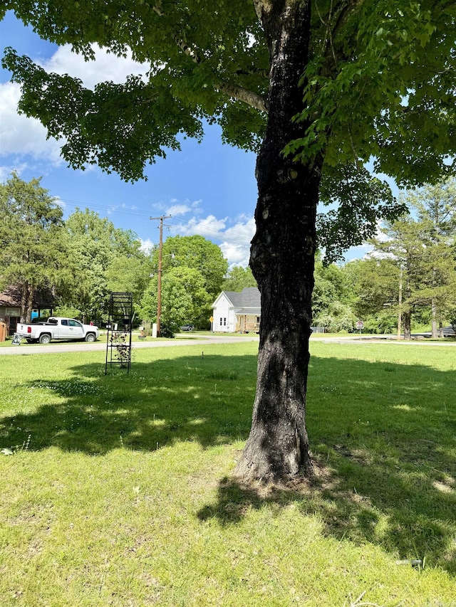 805 S St, Heber Springs, AR 72543 - view of yard