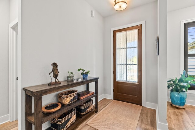 foyer entrance featuring baseboards, light wood finished floors, and a wealth of natural light