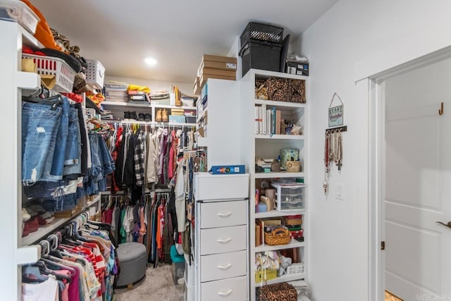 spacious closet featuring carpet flooring