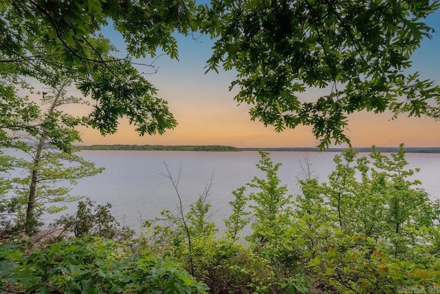 property view of water