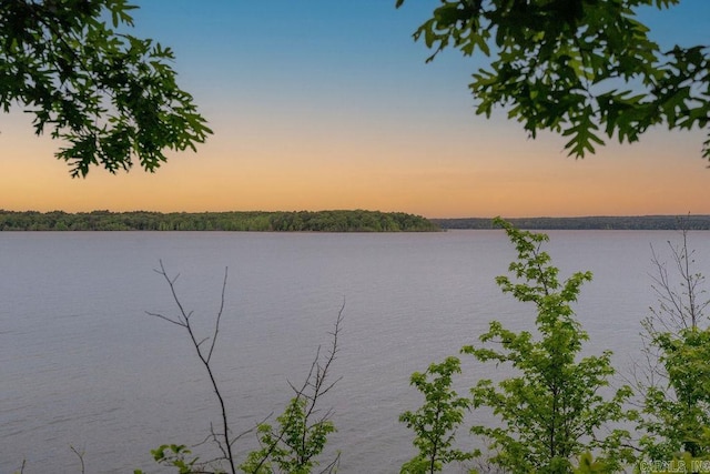property view of water