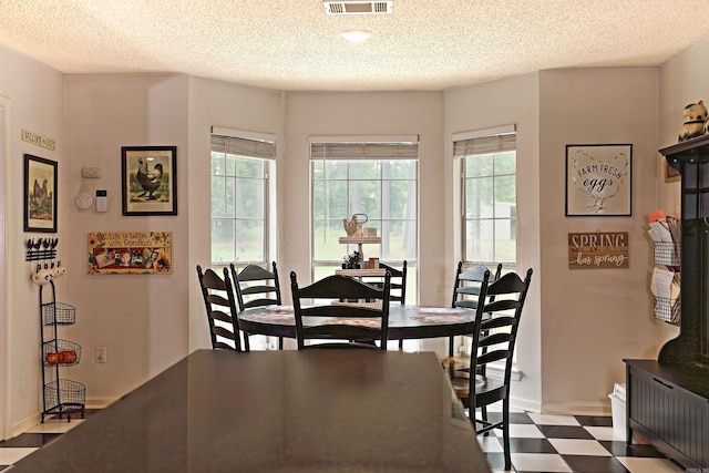6311 Country Ln, Pine Bluff, AR 71603 - dining room with tile patterned floors, baseboards, a textured ceiling, and a wealth of natural light