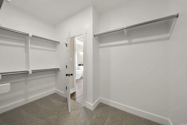 walk in closet with carpet