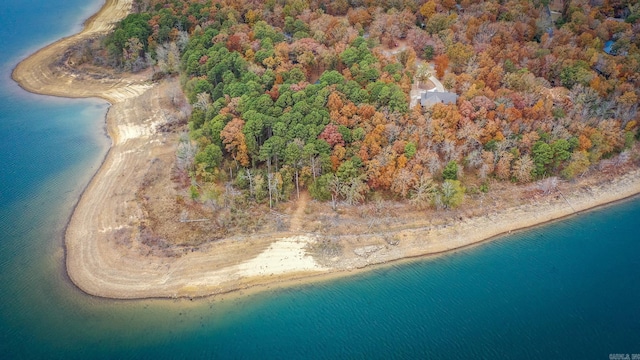 aerial view with a water view and a forest view