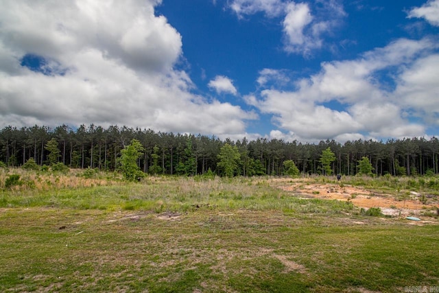 view of local wilderness featuring a view of trees