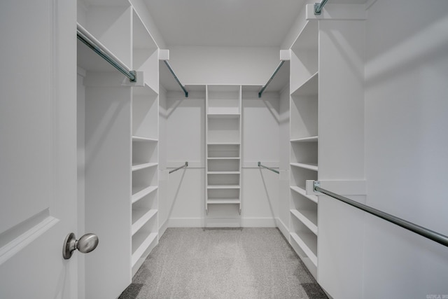 spacious closet featuring light colored carpet