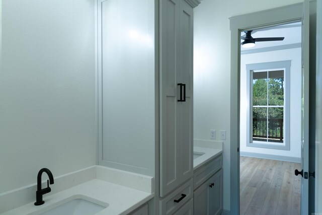 100 Laurie Dr, Mena, AR 71953 - bathroom with vanity, ceiling fan, and wood finished floors