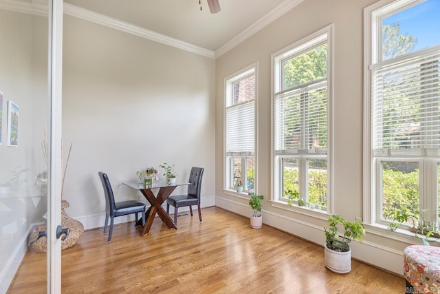 10 Lakewood Park Dr, North Little Rock, AR 72116 - sunroom with a healthy amount of sunlight