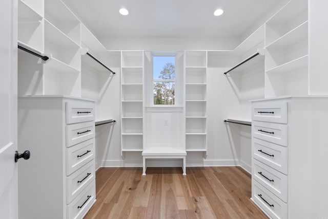 2940 Orchard View Dr, Conway, AR 72034 - walk in closet with light wood-style floors