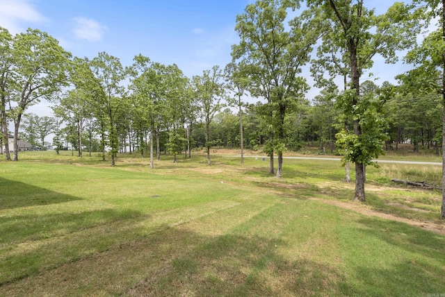 2940 Orchard View Dr, Conway, AR 72034 - view of yard
