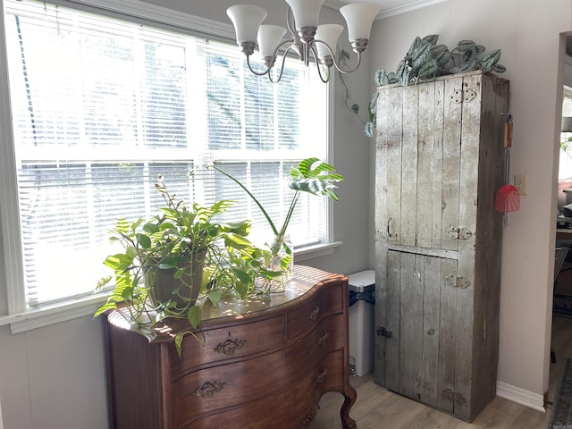 bathroom featuring a chandelier and wood finished floors