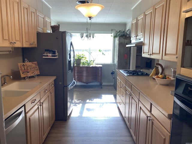 kitchen featuring appliances with stainless steel finishes, a sink, light wood finished floors, a chandelier, and under cabinet range hood