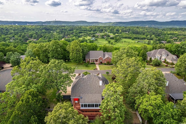 bird's eye view with a mountain view