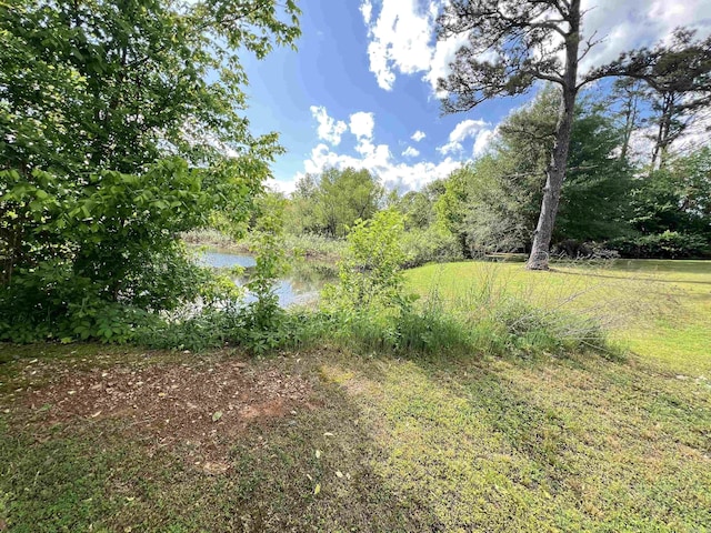 view of landscape featuring a water view