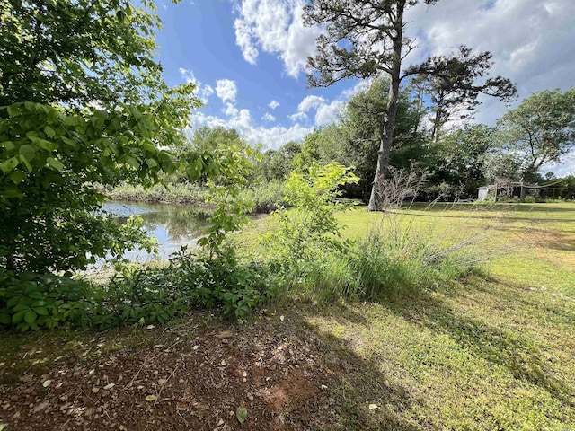 view of nature