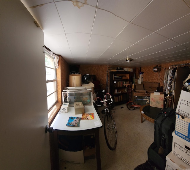 110 S Summit St, Little Rock, AR 72205 - below grade area with carpet floors