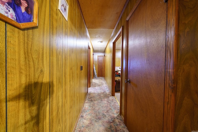 3009 N Main St, Mount Pleasant, AR 72651 - hall with carpet and wooden walls