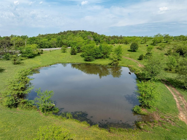 3009 N Main St, Mount Pleasant, AR 72651 - water view