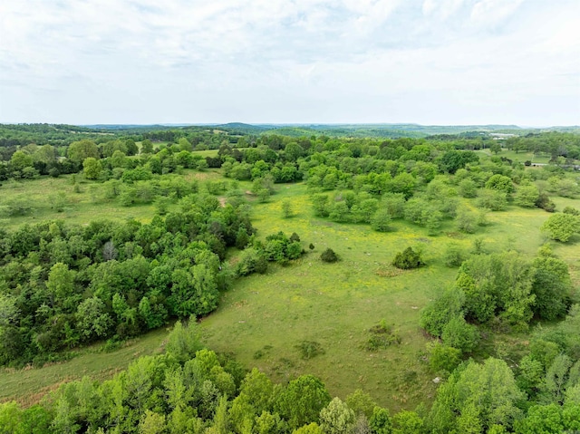 3009 N Main St, Mount Pleasant, AR 72651 - aerial view