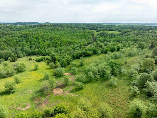 3009 N Main St, Mount Pleasant, AR 72651 - bird's eye view featuring a forest view