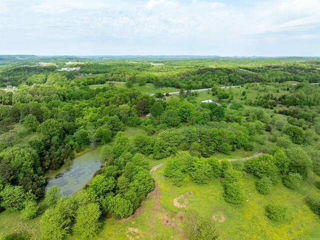 3009 N Main St, Mount Pleasant, AR 72651 - aerial view featuring a water view and a forest view