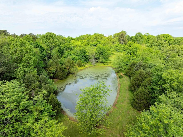 3009 N Main St, Mount Pleasant, AR 72651 - birds eye view of property with a water view