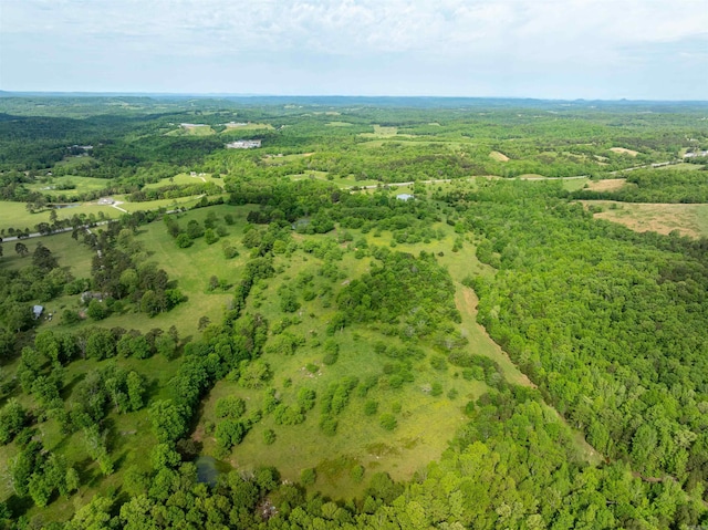 3009 N Main St, Mount Pleasant, AR 72651 - drone / aerial view featuring a view of trees