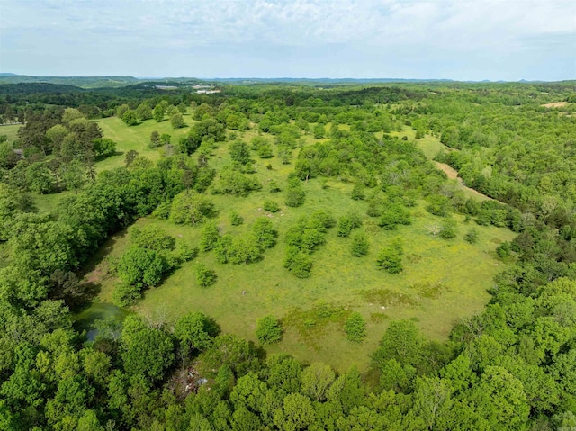 3009 N Main St, Mount Pleasant, AR 72651 - drone / aerial view featuring a view of trees