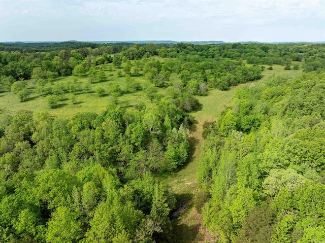 3009 N Main St, Mount Pleasant, AR 72651 - birds eye view of property featuring a view of trees