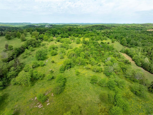 3009 N Main St, Mount Pleasant, AR 72651 - bird's eye view featuring a wooded view