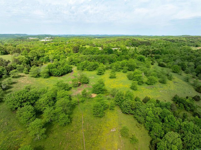 3009 N Main St, Mount Pleasant, AR 72651 - aerial view featuring a forest view